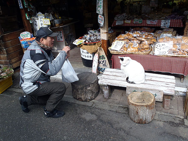 猫を撮影中